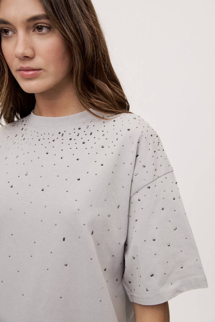 REMERA ALEKSANDER Gris Claro