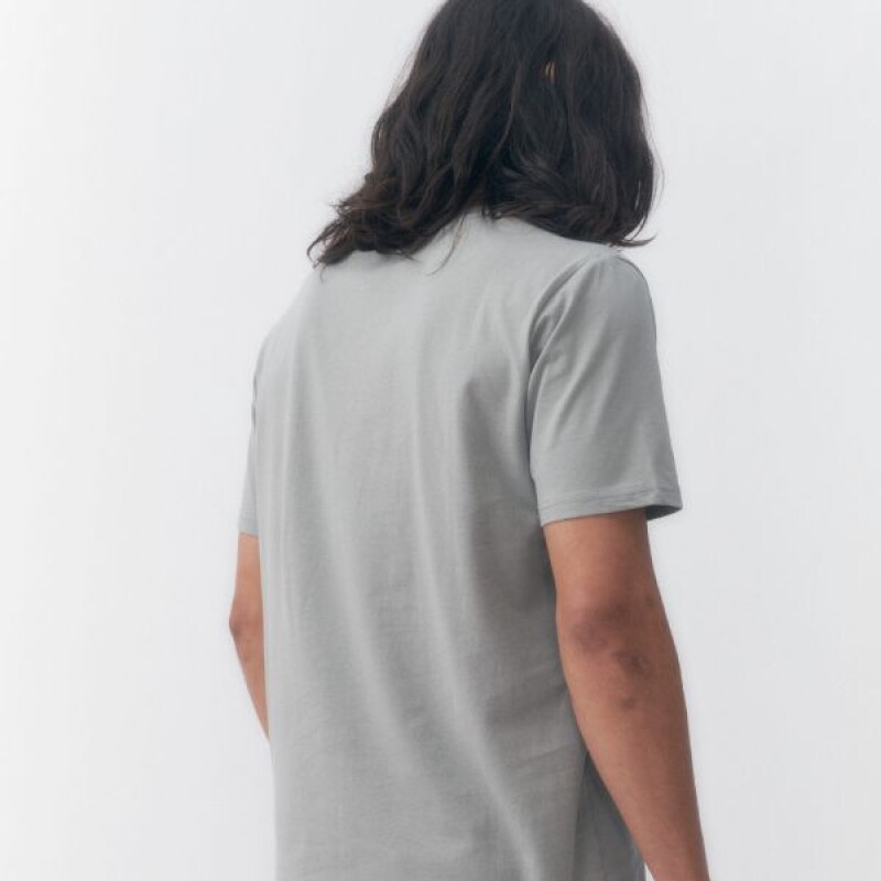 Remera Quiksilver In Waves Gris