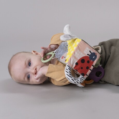 Cubo de Actividades Texturizado Taf Toys Coche o Silla 001