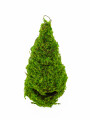 MUSGO ESCARCHADO VERDE