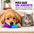 Juguete Morder Perros Gatos Limpieza Dental Golosinas Premio Celeste Violeta