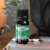 Aceite 10ml hornito Menta
