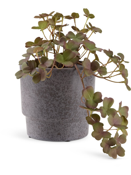 Maceta THORFINN Ø13xA13cm gris Maceta THORFINN Ø13xA13cm gris