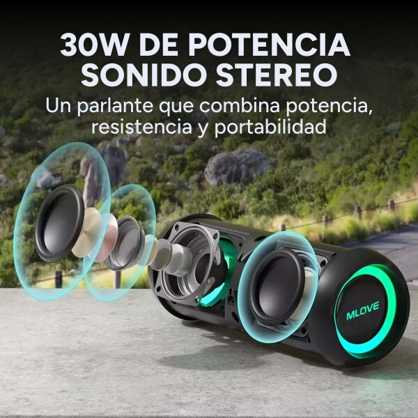 Parlante Bluetooth Portátil Mifa E6L Inalámbrico IPX8 30W Color Negro