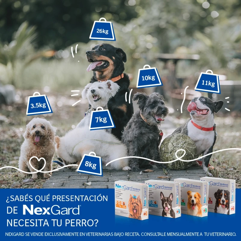 NEXGARD PASTILLA ANTIPULGAS Y GARRAPATAS X 1 COMP DE 4 A 10 KG