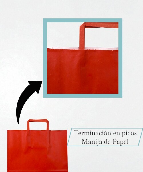 Bolsa lisa acuario 30x12x32 cm ROJO