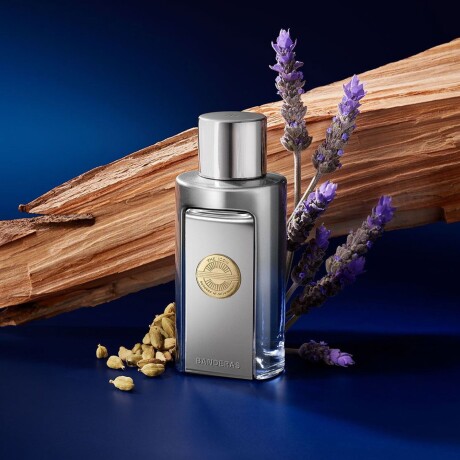 Set Perfume Antonio Banderas The Icon Elixir EDP 100ml + Desodorante Set Perfume Antonio Banderas The Icon Elixir EDP 100ml + Desodorante