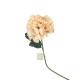 Flor x1 Beige