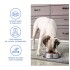 COMEDERO ACERO ANTIVUELCO LILI 22 CM Ø COMEDERO ACERO ANTIVUELCO LILI 22 CM Ø