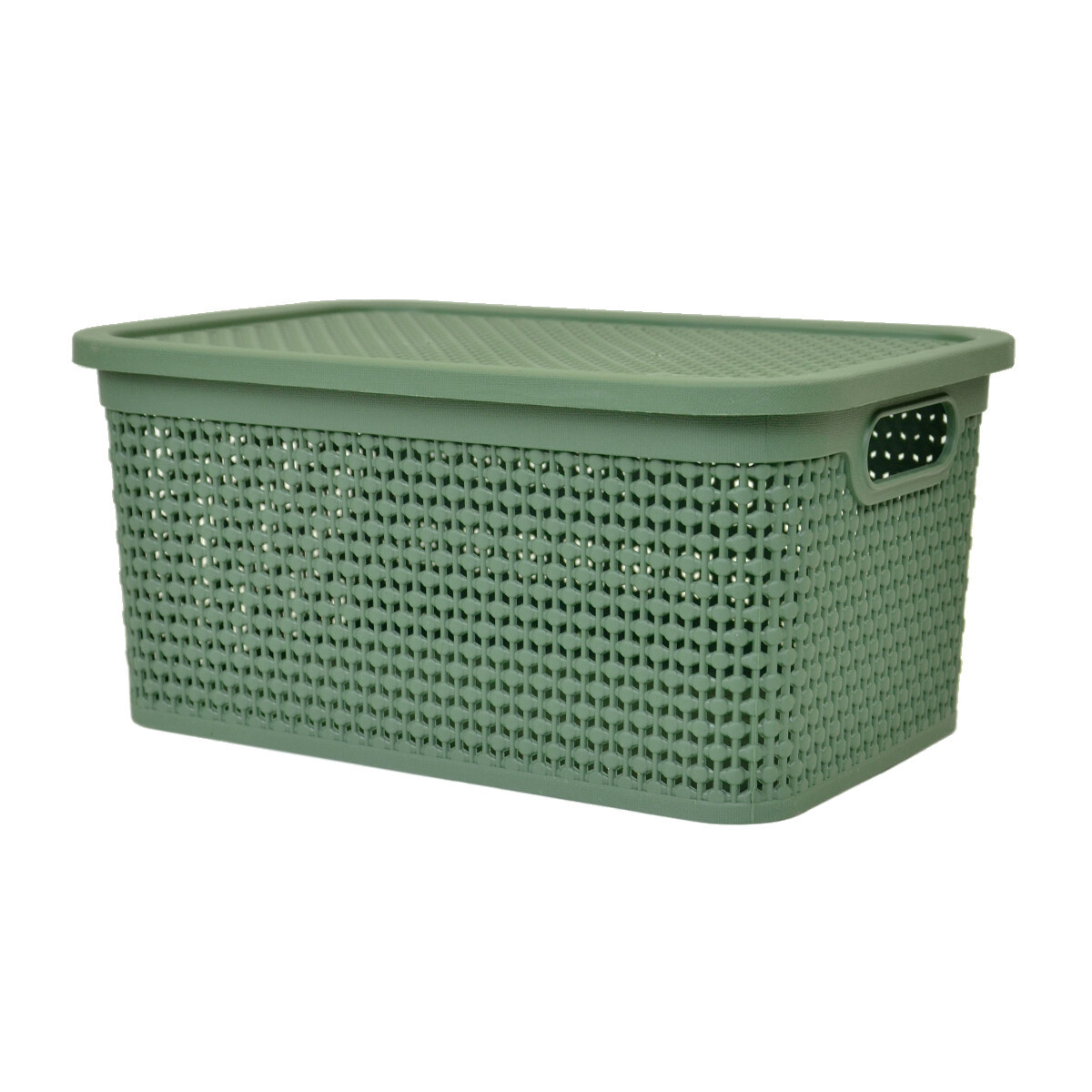 Caja simil ratán 4 lts 26,7x18x12cm - VERDE 