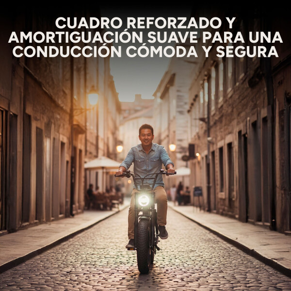 Bicicleta Electrica GoGreen Road Rueda Ancha 350w Bat 10Ah Color Negro