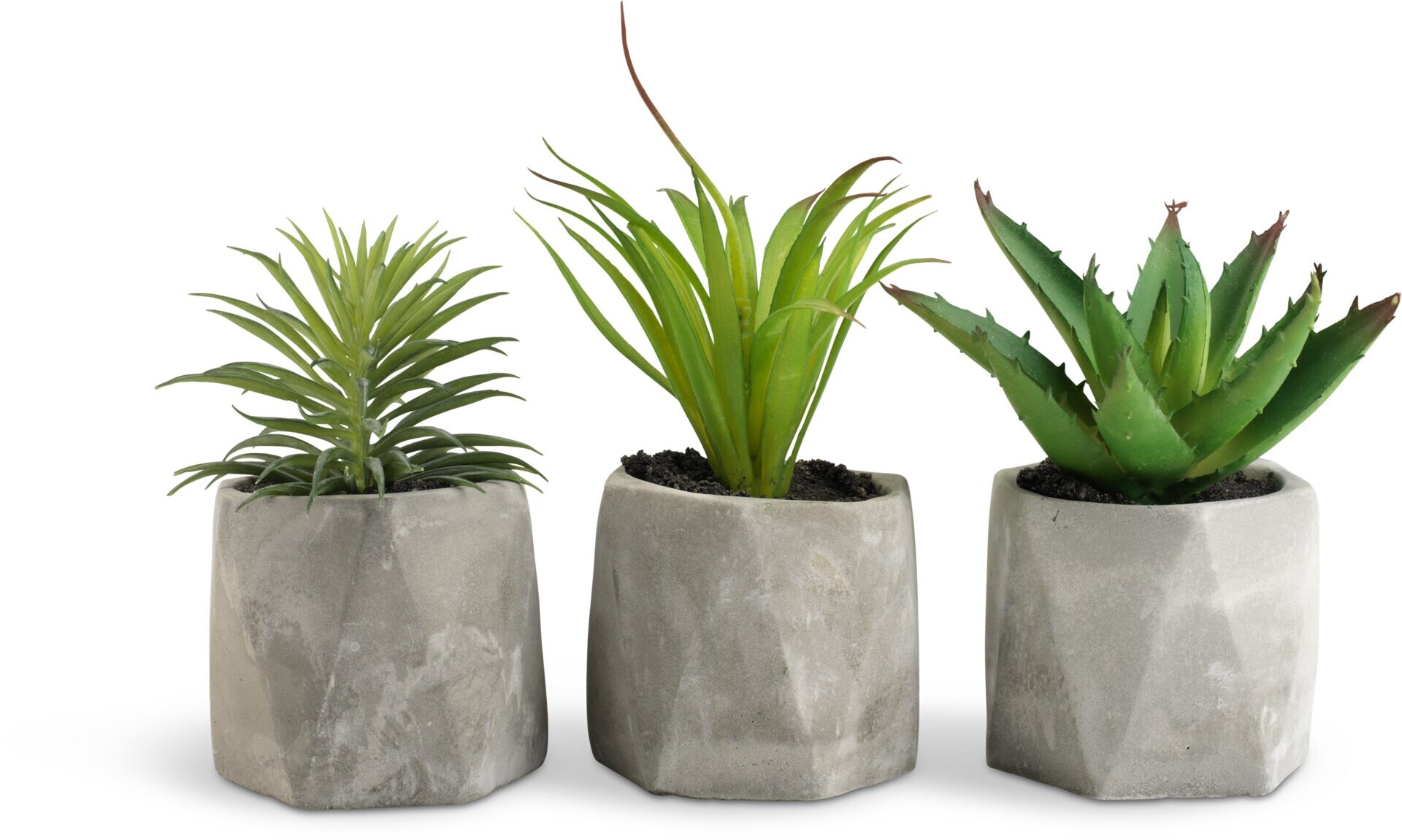 Planta artificial TORGEIR Ø8xA17cm var 