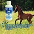 GELSUR M 200 ML GELSUR M 200 ML