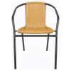 Silla Jardin de metal y ratán PVC con apoyabrazos Negro Natural Silla Jardin de metal y ratán PVC con apoyabrazos Negro Natural