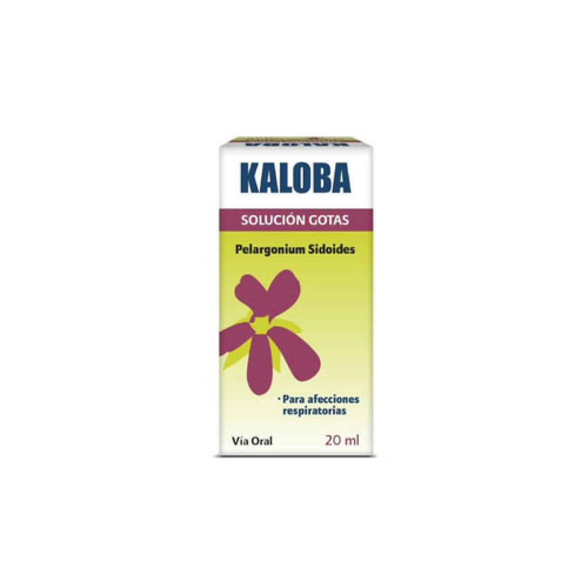 Kaloba Gotas 20 ml – Suplemento Inmunológico