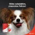 OTIFLEX C OTIFLEX C
