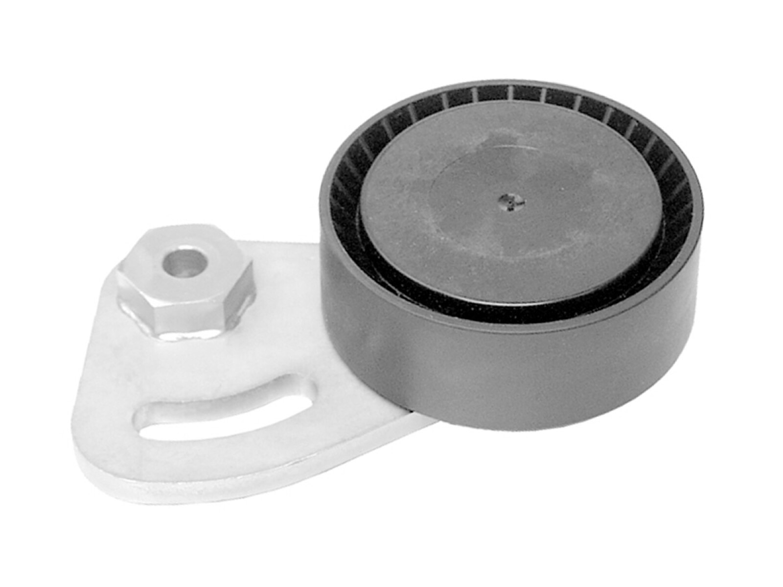 Tensor De La Correa BMW 318Tds (E36) 96-00 