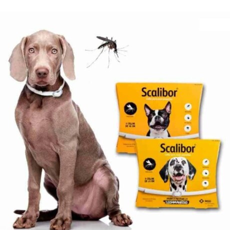 COLLAR SCALIBOR X 48 CM Collar Scalibor X 48 Cm