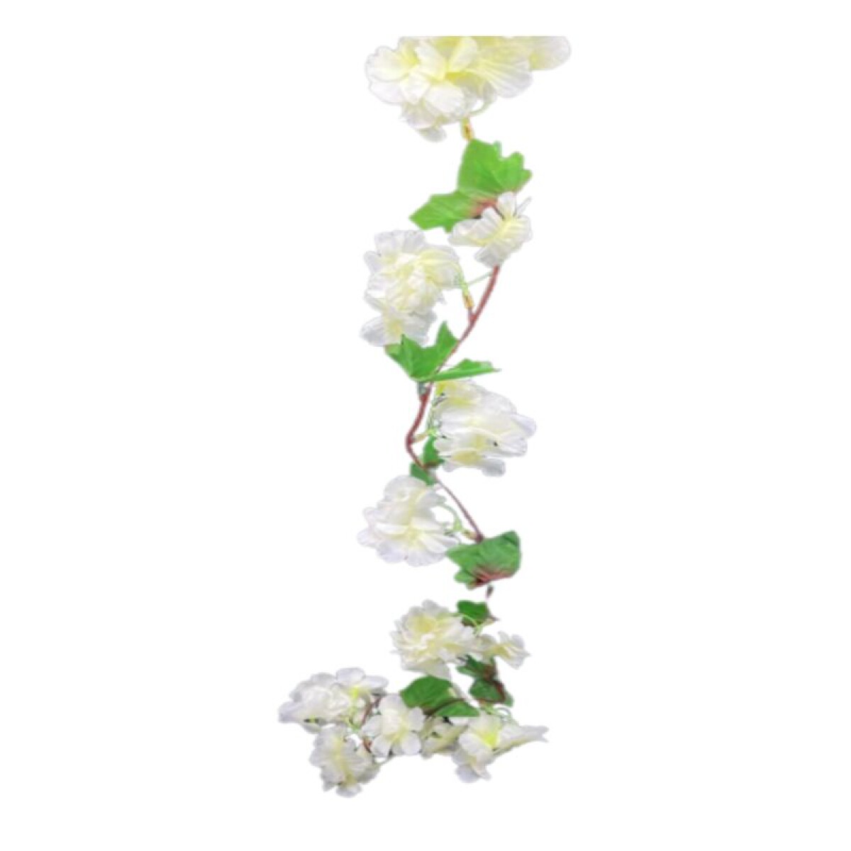 Guia de Flores Blancas 