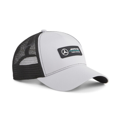 MAPF 1 Trucker Cap 02482102 Gris