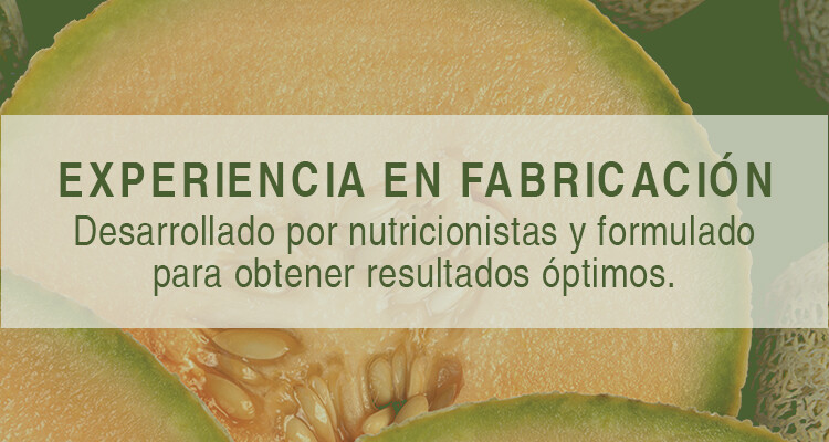 EXPERIENCIA EN FABRICACIÓN