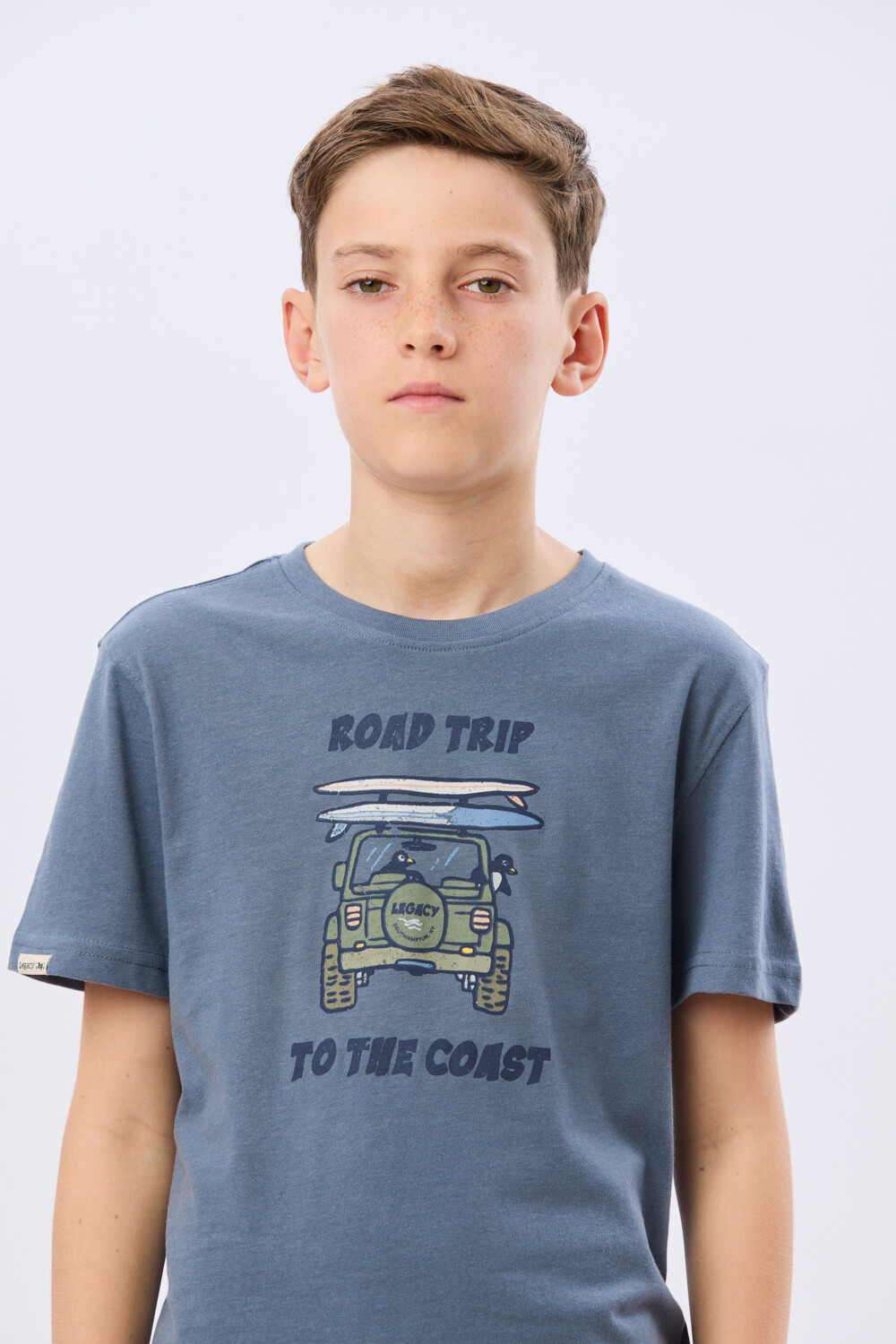 REMERA ESTAMPADA DE ALGODÓN Piedra
