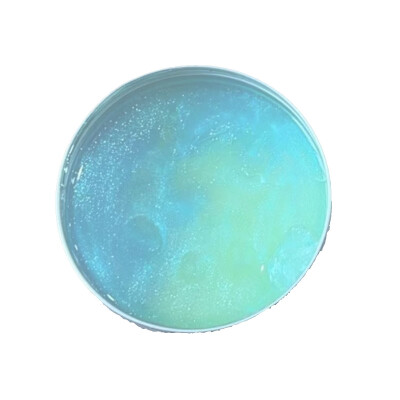 Slime Putty Dazzling Multi-Color Sea Party