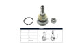 Rotula Del Nissan Sentra B14/Sentra B13 82-17 Der/Izq Rotula Del Nissan Sentra B14/Sentra B13 82-17 Der/Izq