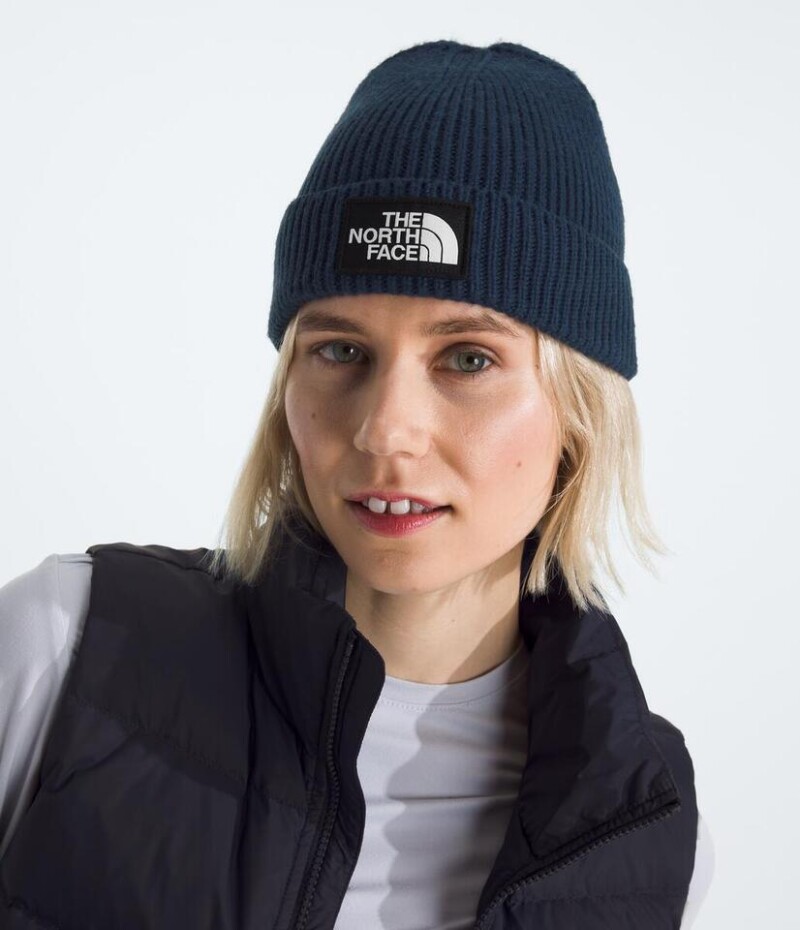 Gorro de punto TNF Summit Navy