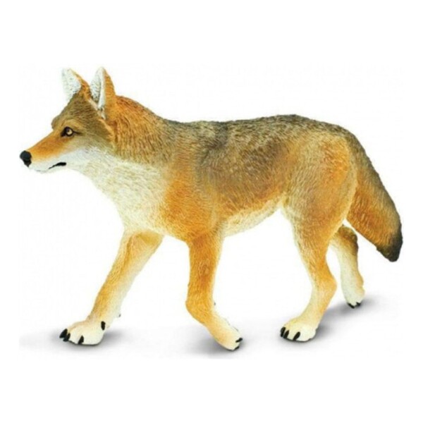 Coyote Grande Mamifero Safari Colección Escala Niño Coyote Grande Mamifero Safari Colección Escala Niño