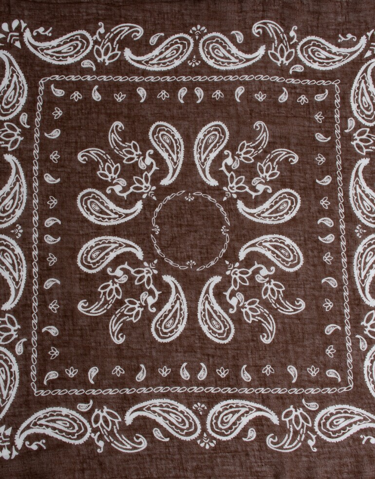Pashminas Pashmina Paisley - Marron Oscuro