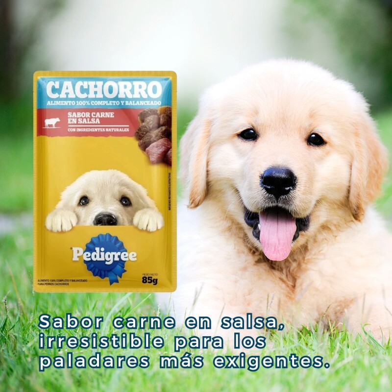 PEDIGREE EN SALSA CACHORRO 85 GRAMOS PEDIGREE EN SALSA CACHORRO 85 GRAMOS