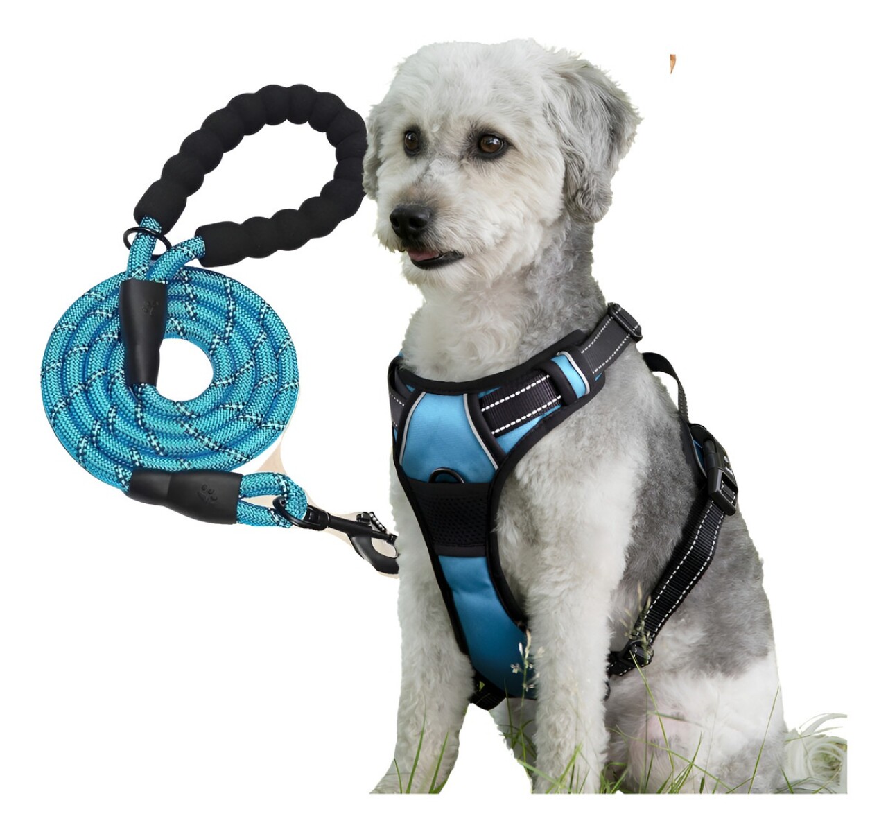 PECHERA ANTI TIRONES PARA PERRO PRETAL ANTITIRO ARNES CORREA 1.2M 