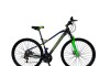 Bicicleta ALPINA MAN - Rodado 29 - Baccio Verde
