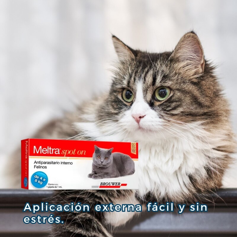 MELTRA SOPOT ON ANTIPARASITARIO INTERNO EN FORMA DE PIPETA PARA GATOS DE 4 A 8 KG MELTRA SOPOT ON ANTIPARASITARIO INTERNO EN FORMA DE PIPETA PARA GATOS DE 4 A 8 KG