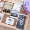 Pack 3 Rollos Papel Térmico Autoadhesivo Blanco Pack 3 Rollos Papel Térmico Autoadhesivo Blanco