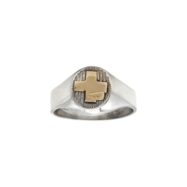 Anillo Profesión Enfermería -Plata y Oro -Sin Piedra-AP5063 sinpiedra