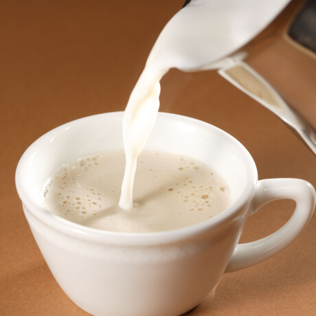 Hervidor de Leche con Tapa de Aluminio 3 Litros Hervidor de Leche con Tapa de Aluminio 3 Litros