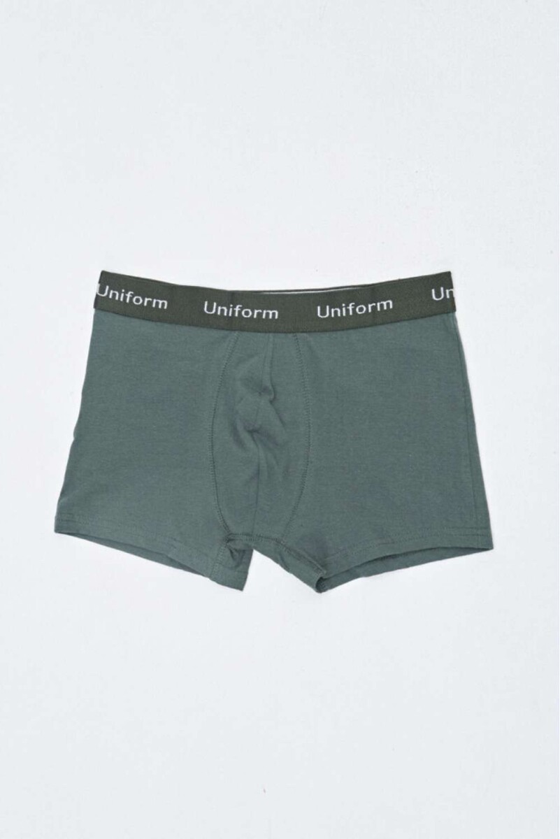 Boxer Gino - Militar 