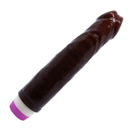 Vara Anal + Balita + Anillo + Dildo Vibrador + Plug + Gel Vara Anal + Balita + Anillo + Dildo Vibrador + Plug + Gel