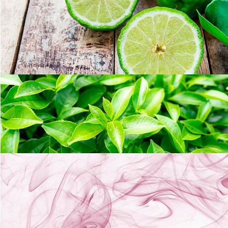 Perfume Calvin Klein One EDT 200ml – Fragancia Unisex Clásica Perfume Calvin Klein One EDT 200ml – Fragancia Unisex Clásica