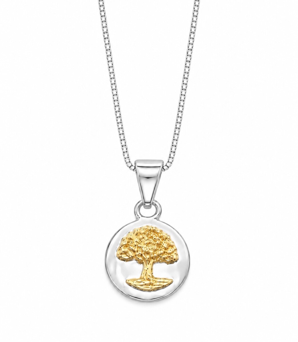 Conjunto cadena y medalla árbol de la vida 