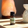 Aceite 10ml hornito Jazmín