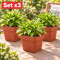 Set x3 Maceta cuadrada 3,8 lts TERRACOTA