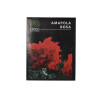 Semillas de amapola rosa KM100 Semillas Amapola Rosa