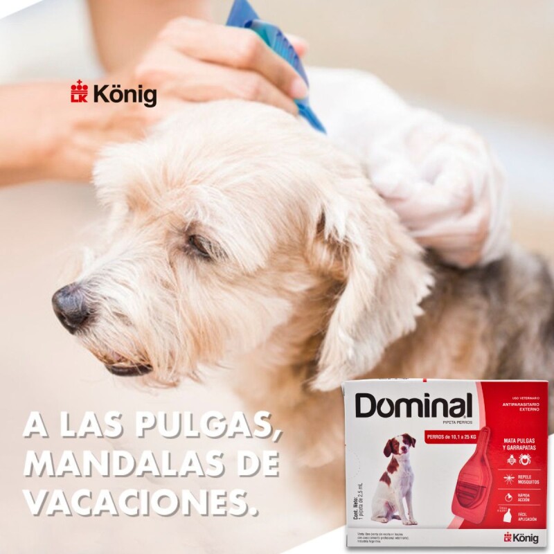 PIPETA ANTIPULGAS Y GARRAPATAS PARA PERROS DOMINAL KONIG DE 10,1 A 25 KG