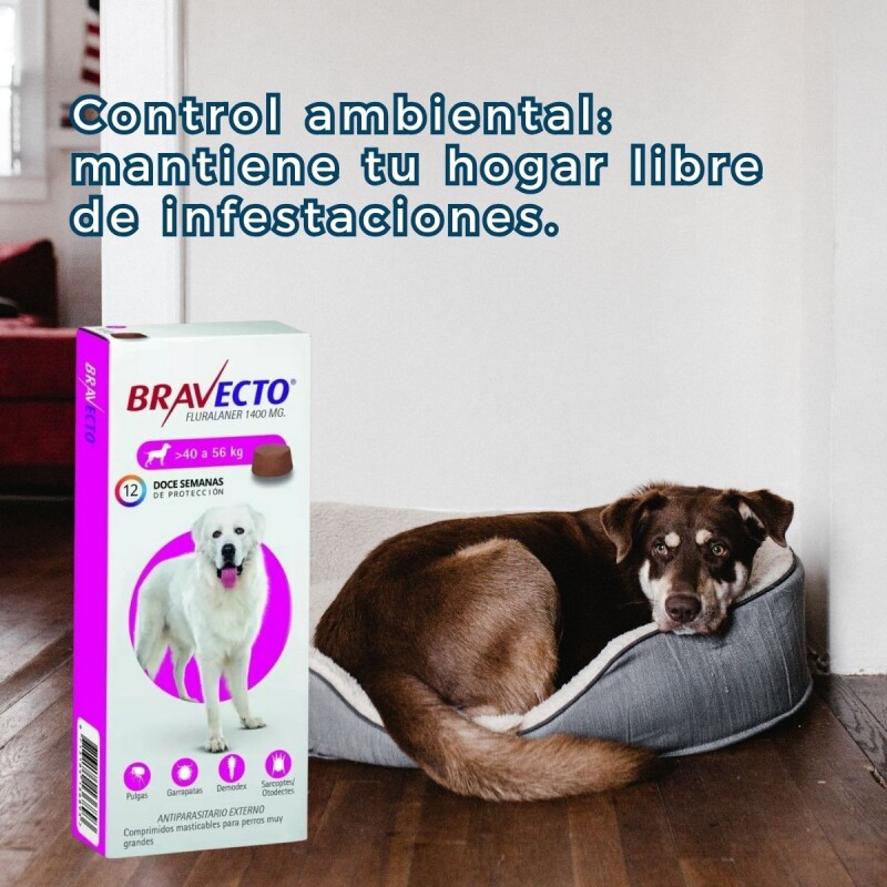 BRAVECTO ANTIPULGAS Y ANTIGARRAPATAS 40 A 56 KG