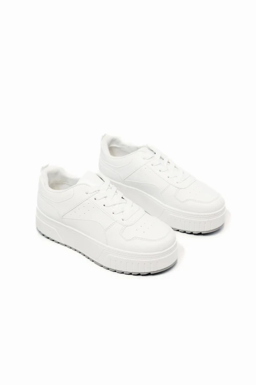 Champion Massa Blanco
