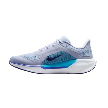NIKE AIR ZOOM PEGASUS 41 Black