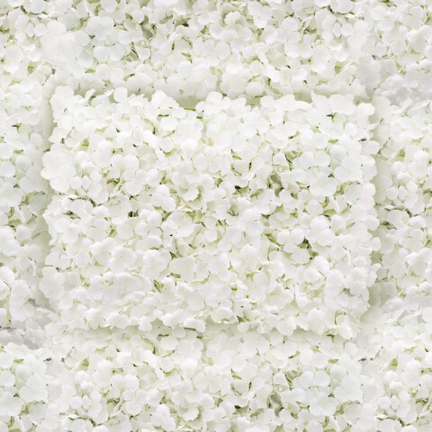Panel de Flores Blancas Panel de Flores Blancas